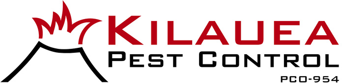 Kilauea Black Horizontal Pco Kilauea Black Horizontal Pco